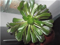 b7d9c875-Picture 010.jpg